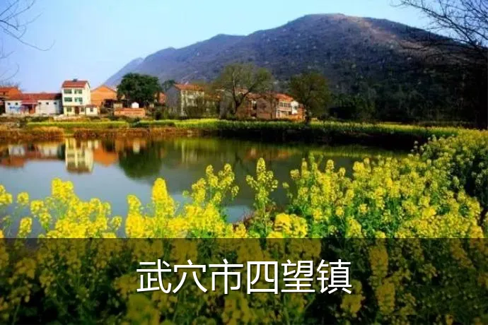 武穴市四望镇