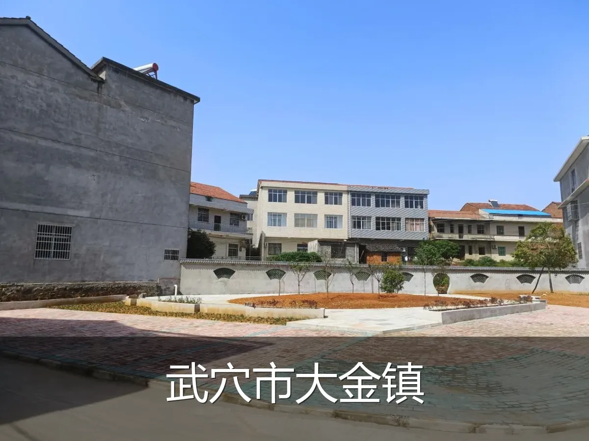 武穴市大金镇