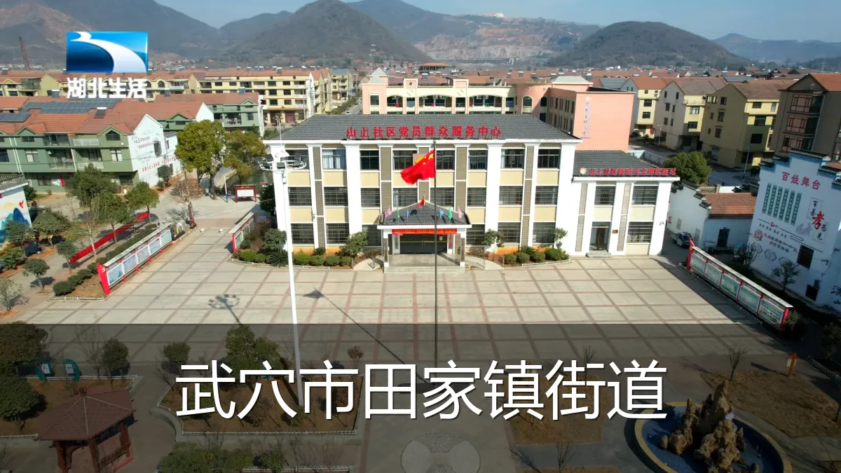 武穴市田家镇街道